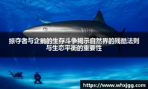 雷竞技官网